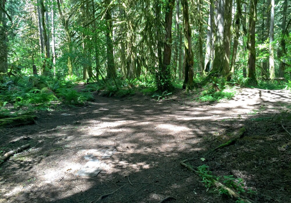 Hiking