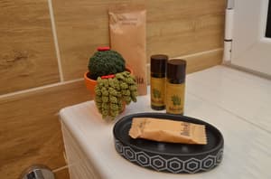 thumbnail: Bathroom amenities