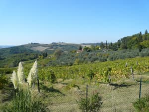 thumbnail: View from property