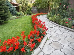 thumbnail: Garden
