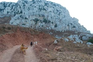 thumbnail: Hiking