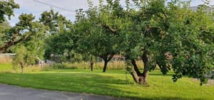 thumbnail: General view
