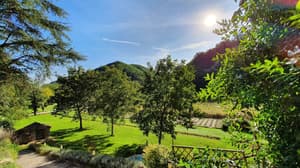 thumbnail: Garden