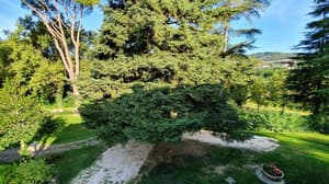 thumbnail: Property grounds