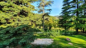 thumbnail: Property grounds