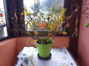 thumbnail: General view