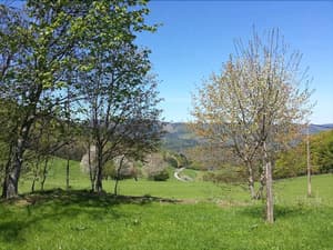 thumbnail: General view