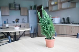 thumbnail: Shared kitchen