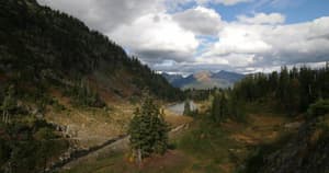 thumbnail: Miscellaneous