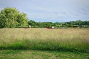 thumbnail: General view