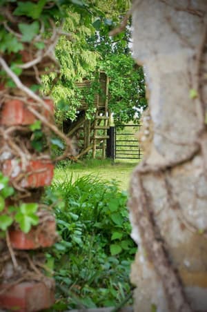 thumbnail: General view