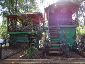 thumbnail: Garden