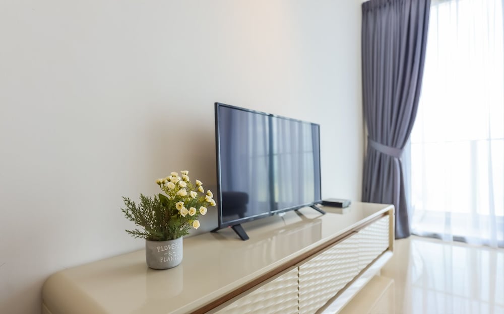 Television