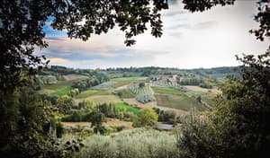 thumbnail: General view
