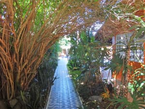 thumbnail: General view