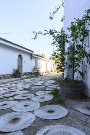 thumbnail: Courtyard