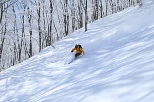 thumbnail: Snow and ski sports