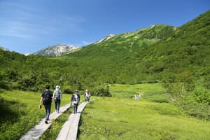 thumbnail: Hiking