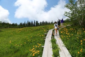 thumbnail: Hiking