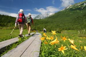 thumbnail: Hiking