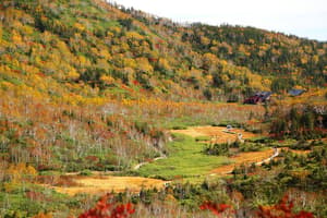 thumbnail: Hiking