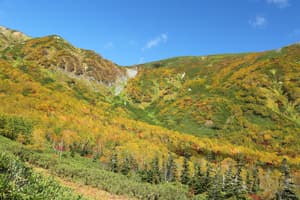 thumbnail: Hiking