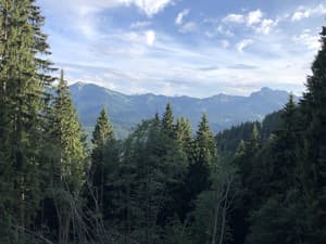 thumbnail: Hiking
