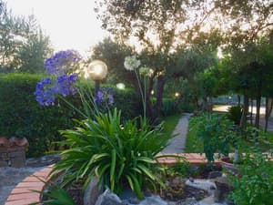 thumbnail: Property grounds