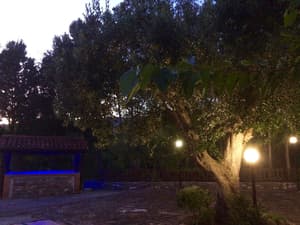 thumbnail: Property grounds