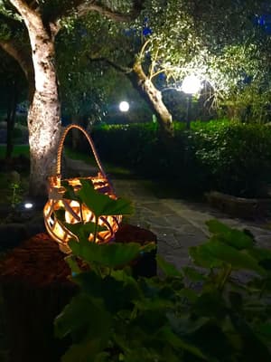 thumbnail: Garden
