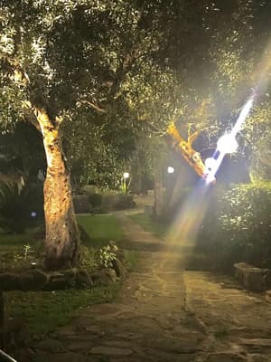 thumbnail: Garden