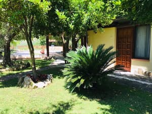 thumbnail: Garden