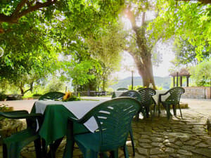 thumbnail: Terrace/patio