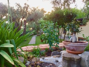 thumbnail: Exterior detail