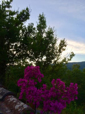 thumbnail: Land view from property