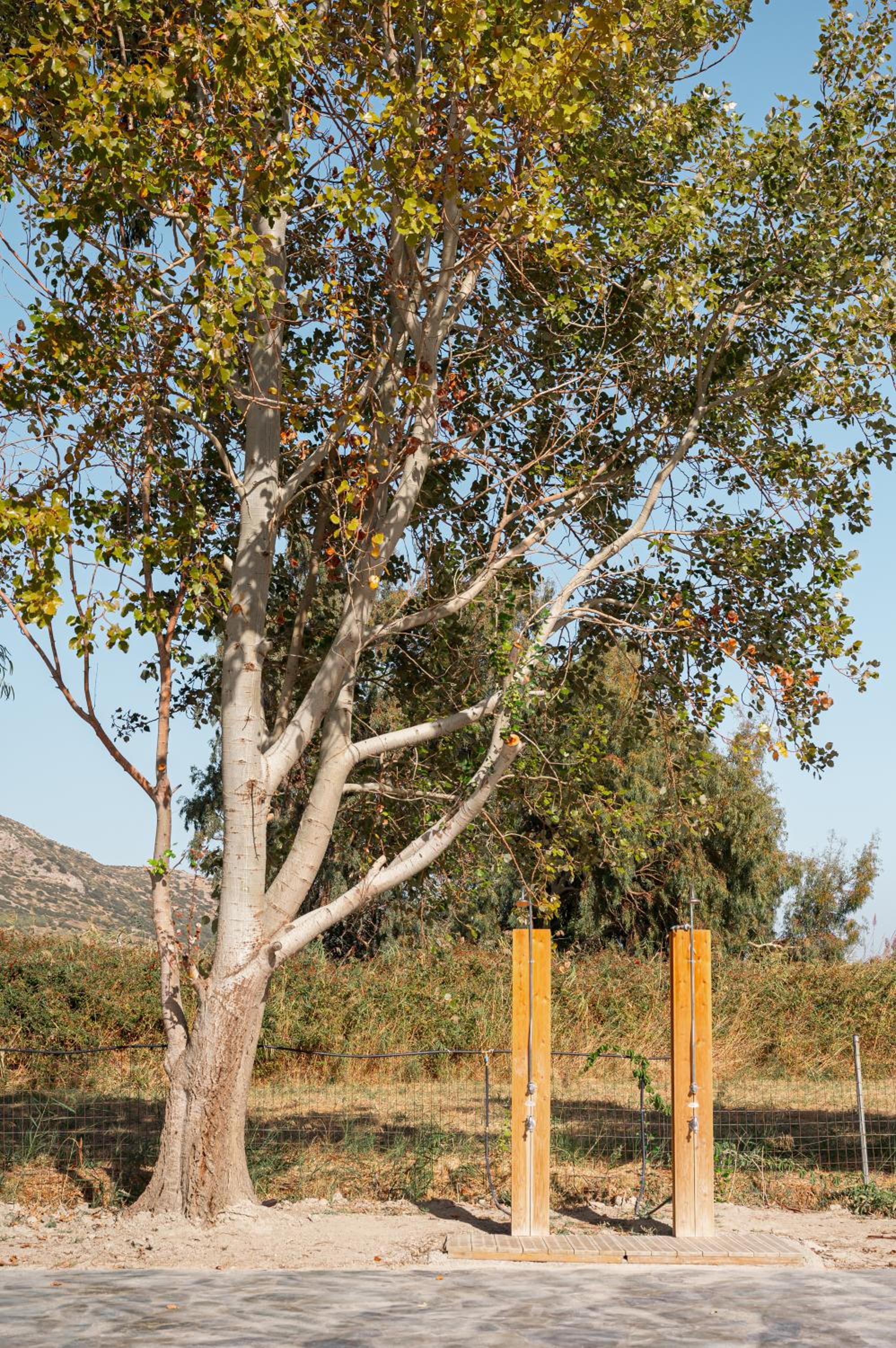 Play area