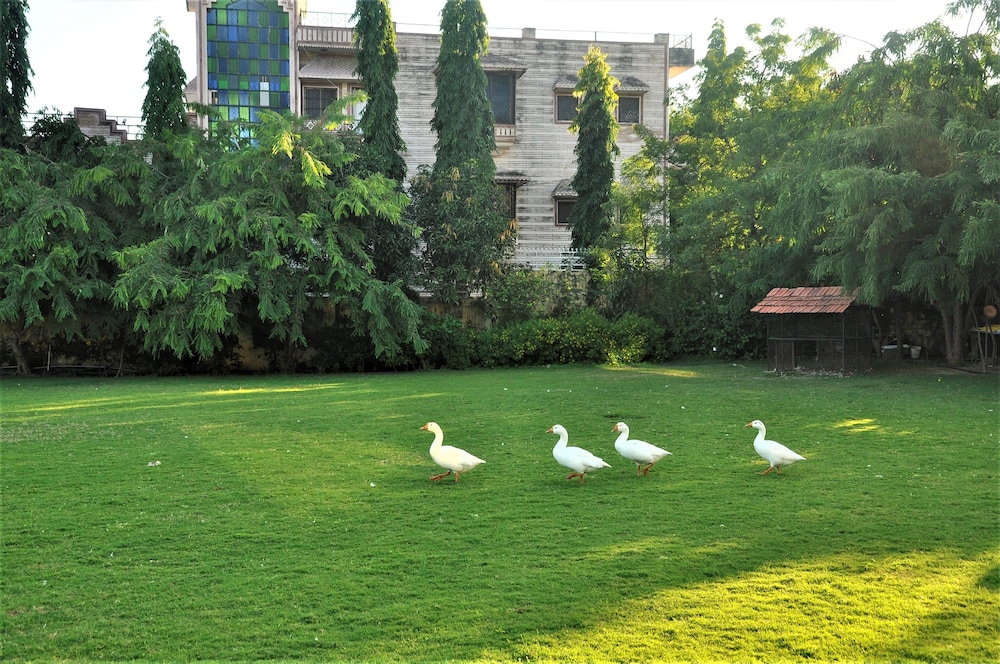 Children's play area - outdoor