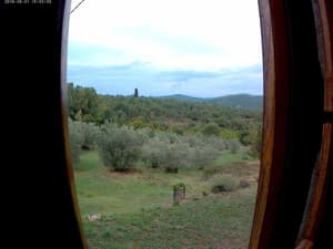 Bucine thumbnail