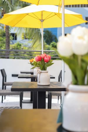 thumbnail: Outdoor dining