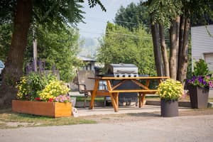 thumbnail: BBQ/picnic area