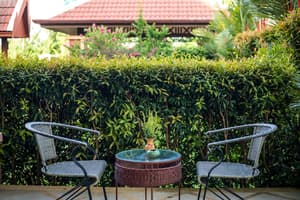 thumbnail: Terrace/patio