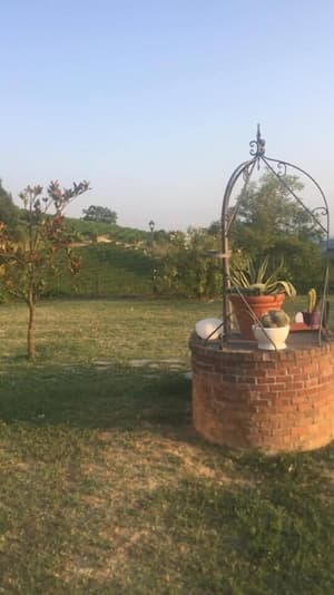 thumbnail: Garden