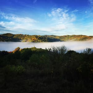 thumbnail: View from property