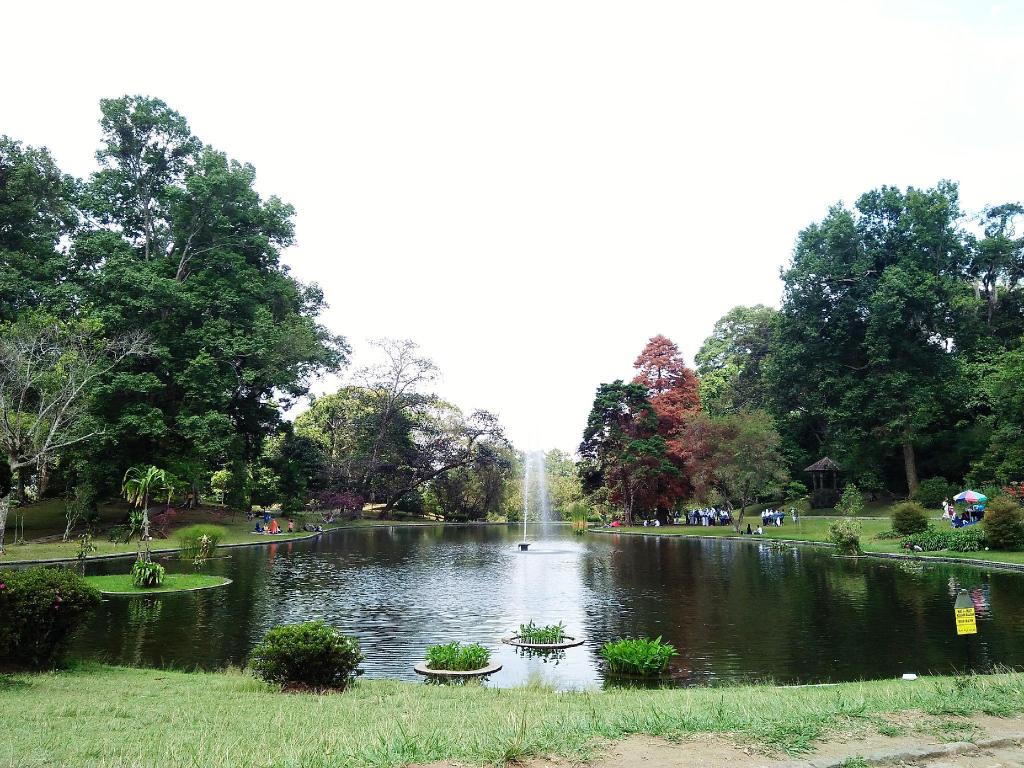 0280aaf2b362abfe1108b79b3d24590d.jpg