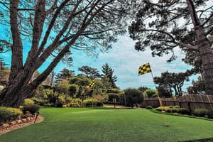 thumbnail: Property grounds