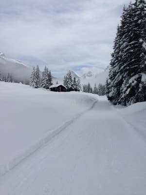 thumbnail: Snow and ski sports
