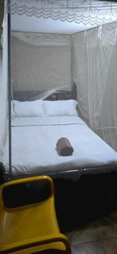 thumbnail: 748451463.jpg