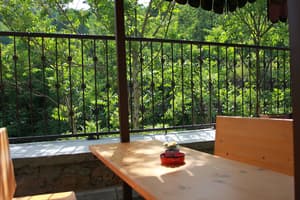 thumbnail: Garden