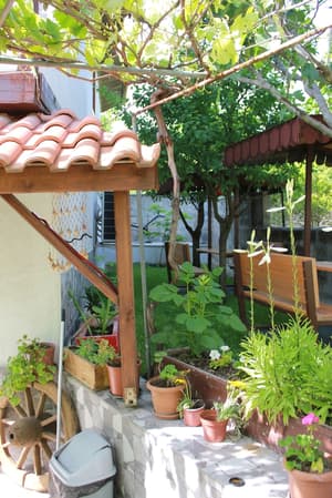 thumbnail: Garden