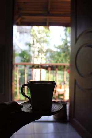 thumbnail: Garden